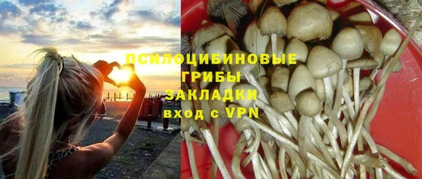 скорость mdpv Бикин