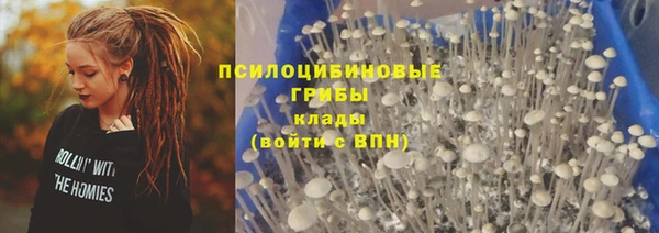 каннабис Арсеньев