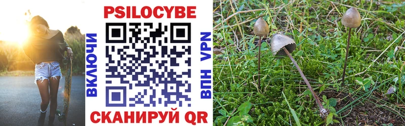 Псилоцибиновые грибы Cubensis  Верхняя Салда 